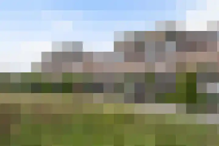 Kattedoorn 66 Cuijk thumbnail 55