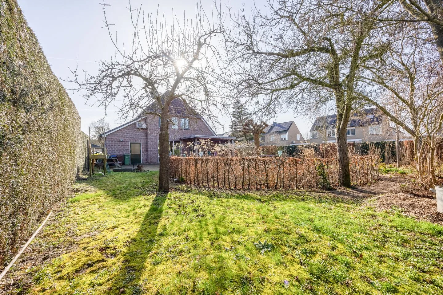 Kattedoorn 66 Cuijk thumbnail 55
