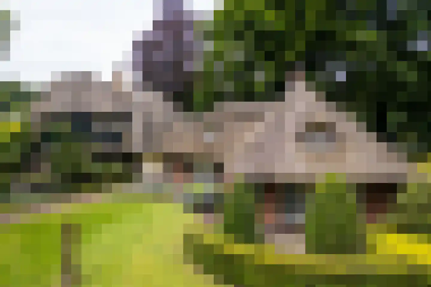 Kattedoorn 66 Cuijk thumbnail 56