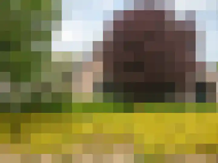 Kattedoorn 66 Cuijk thumbnail 57