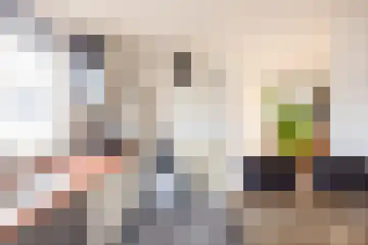 Kattedoorn 66 Cuijk thumbnail 7