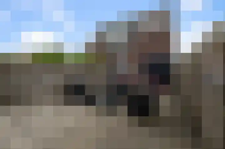 Kattegat 13 A Zaandam thumbnail 14