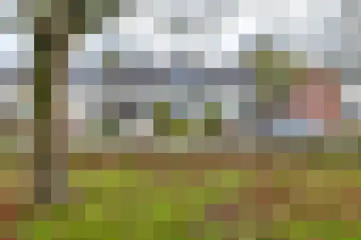 Kattegat 89 Delfzijl thumbnail 5