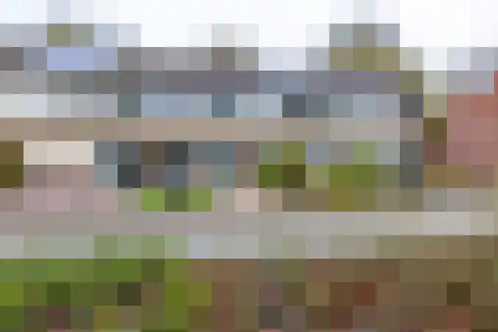 Kattegat 89 Delfzijl thumbnail 6
