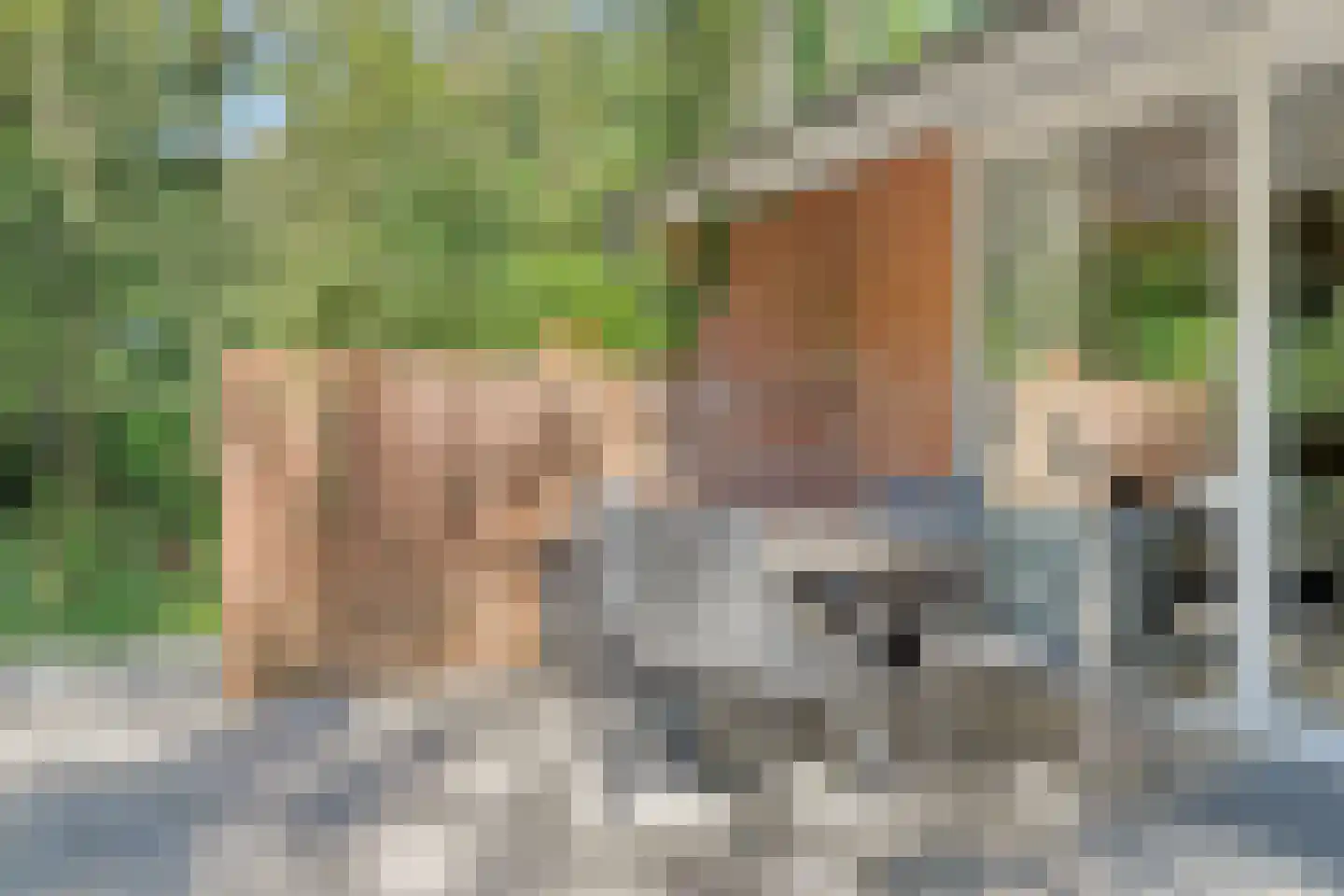 Kattenbergweg 1 03 Winterswijk thumbnail 20