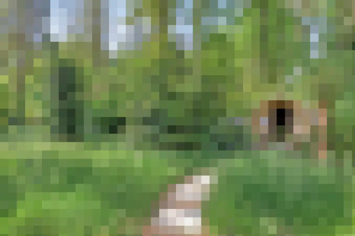 Kattenbergweg 1 03 Winterswijk thumbnail 21