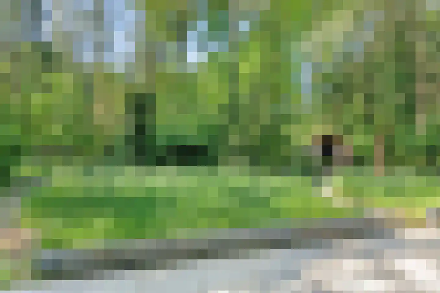 Kattenbergweg 1 03 Winterswijk thumbnail 25