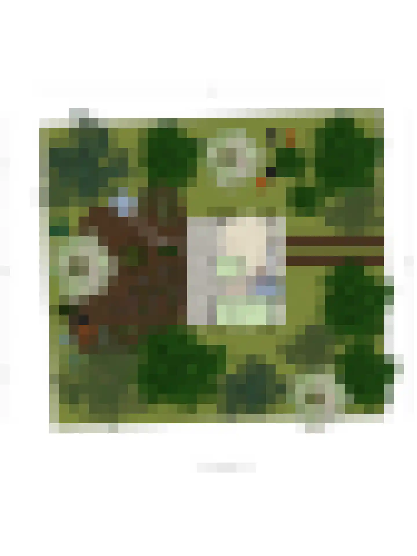 Kattenbergweg 1 03 Winterswijk thumbnail 34