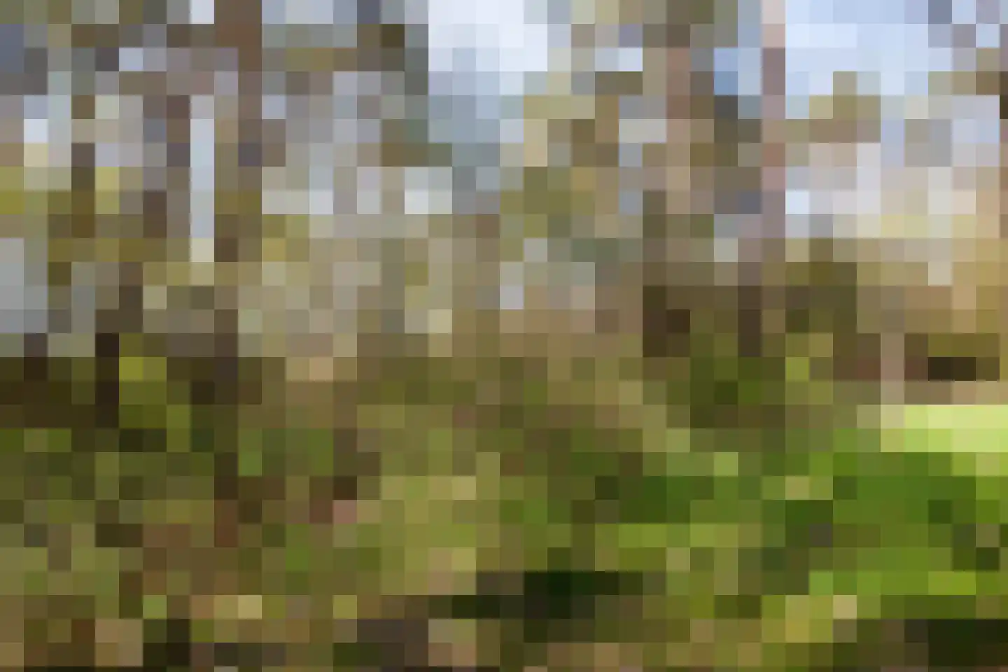 Kattenbergweg 1 144 Winterswijk thumbnail 4