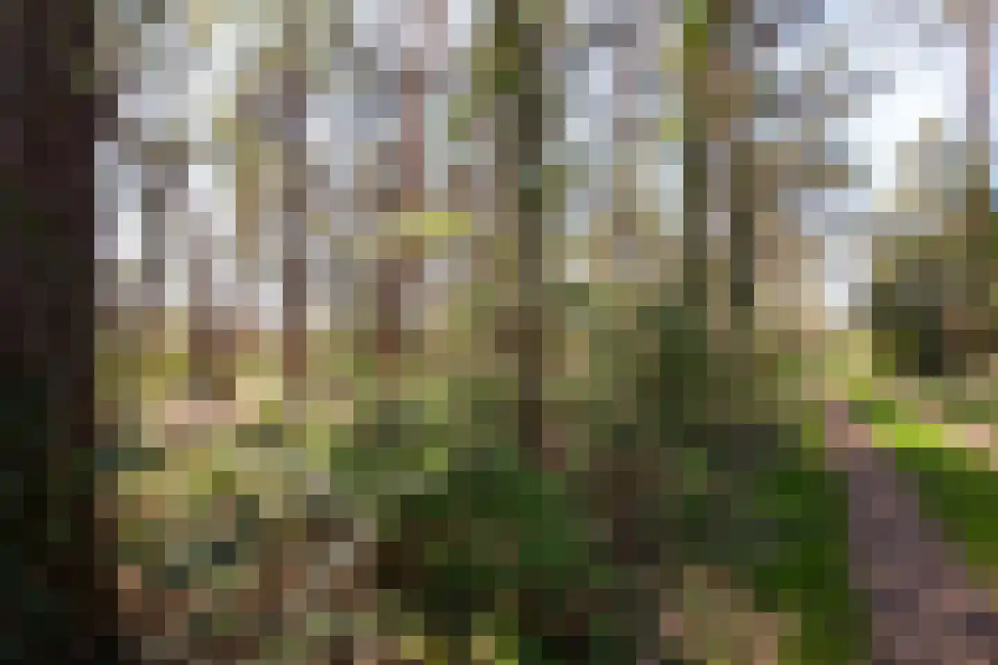 Kattenbergweg 1 144 Winterswijk thumbnail 7