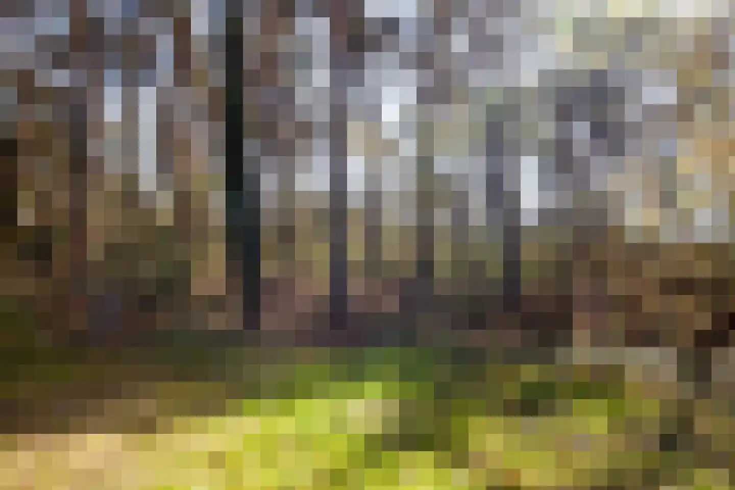 Kattenbergweg 1 144 Winterswijk thumbnail 8