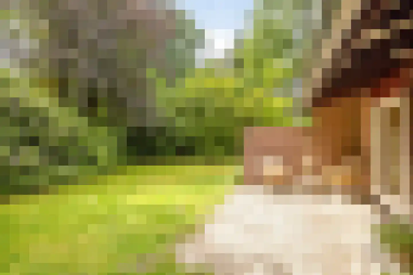 Kattenbergweg 1 60 Winterswijk thumbnail 17