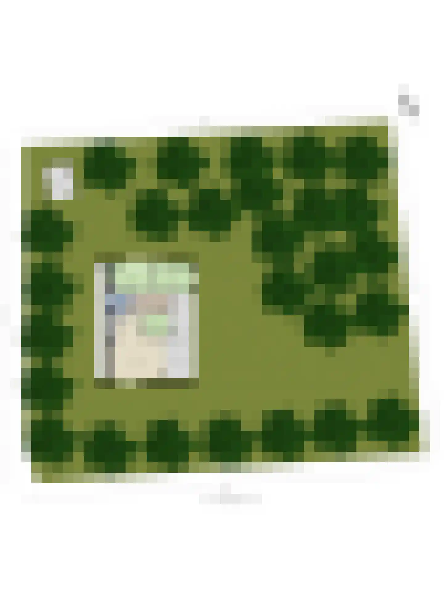 Kattenbergweg 1 60 Winterswijk thumbnail 30