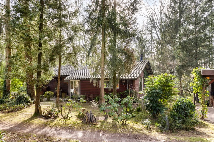 Kattenbergweg 1-61 en Winterswijk foto