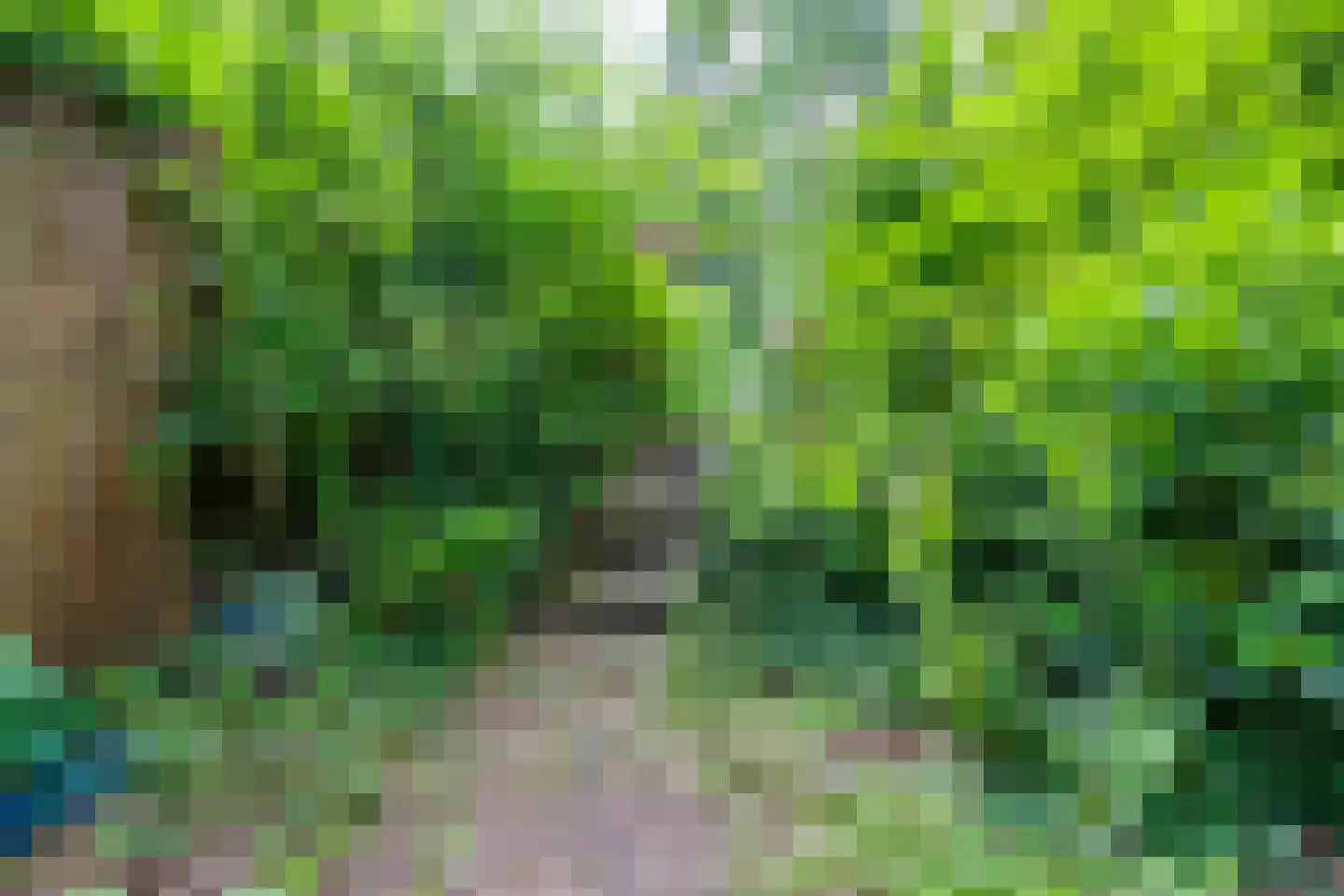 Kattenbergweg 1 72 Winterswijk thumbnail 33