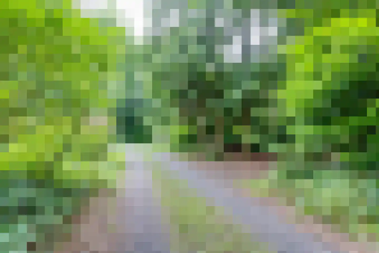 Kattenbergweg 1 72 Winterswijk thumbnail 35