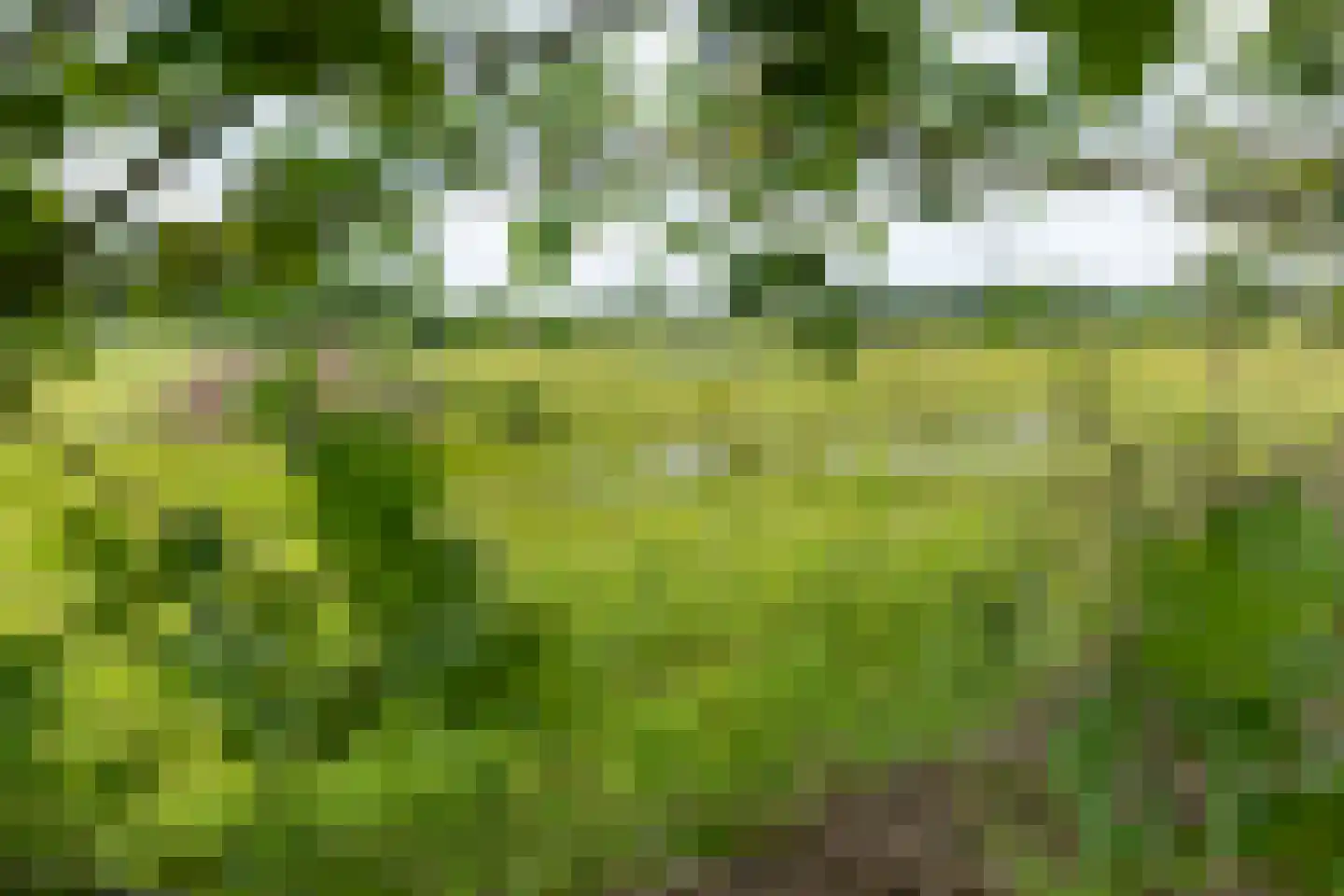 Kattenbergweg 1 72 Winterswijk thumbnail 43
