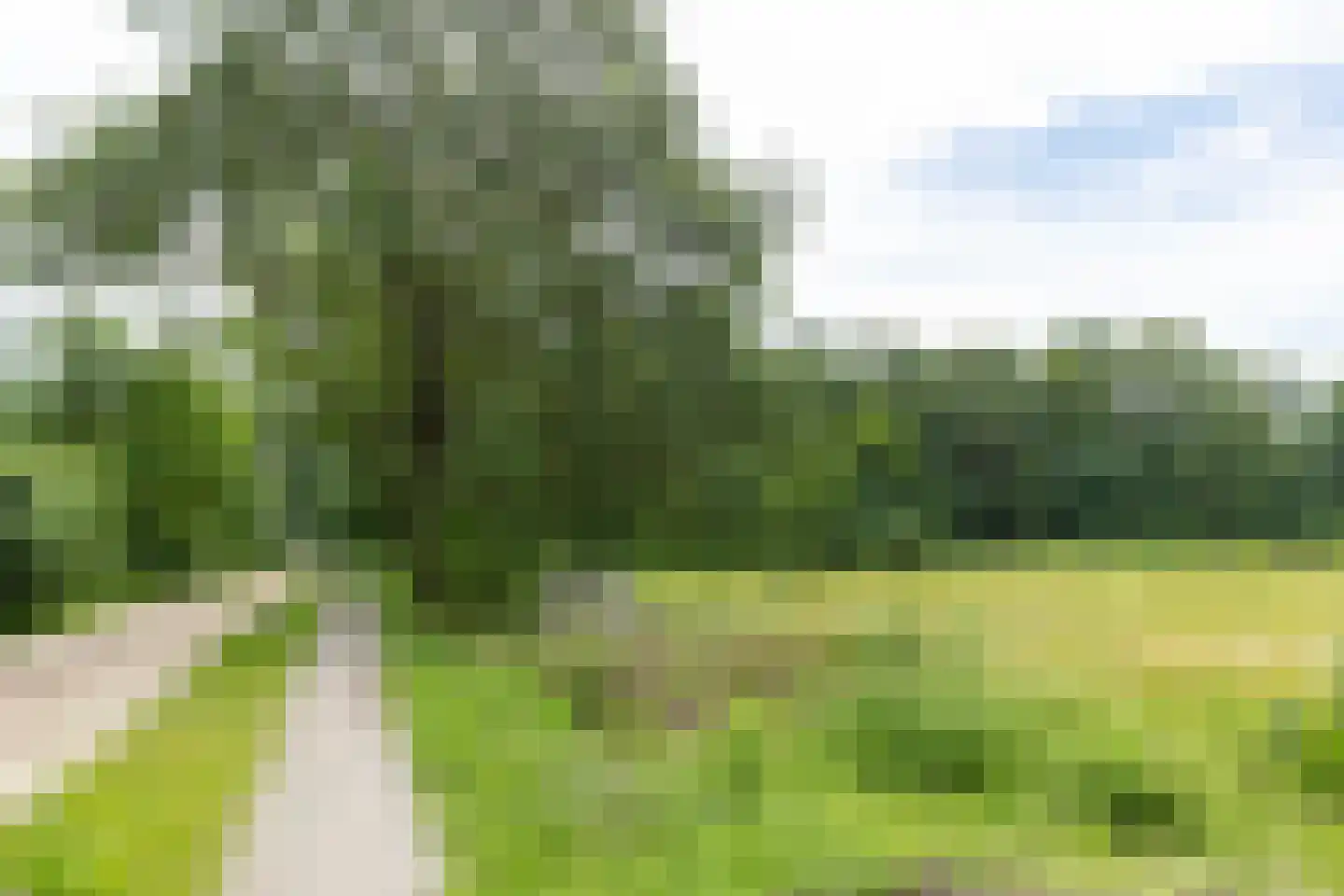 Kattenbergweg 1 72 Winterswijk thumbnail 44