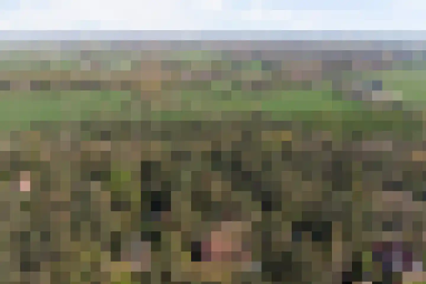 Kattenbergweg 2 08 Winterswijk thumbnail 4