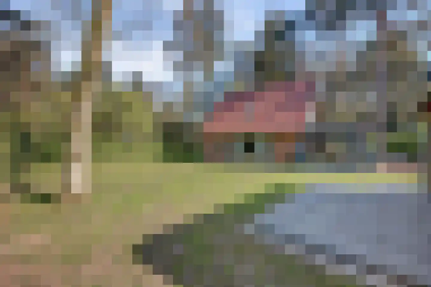 Kattenbergweg 2 08 Winterswijk thumbnail 44