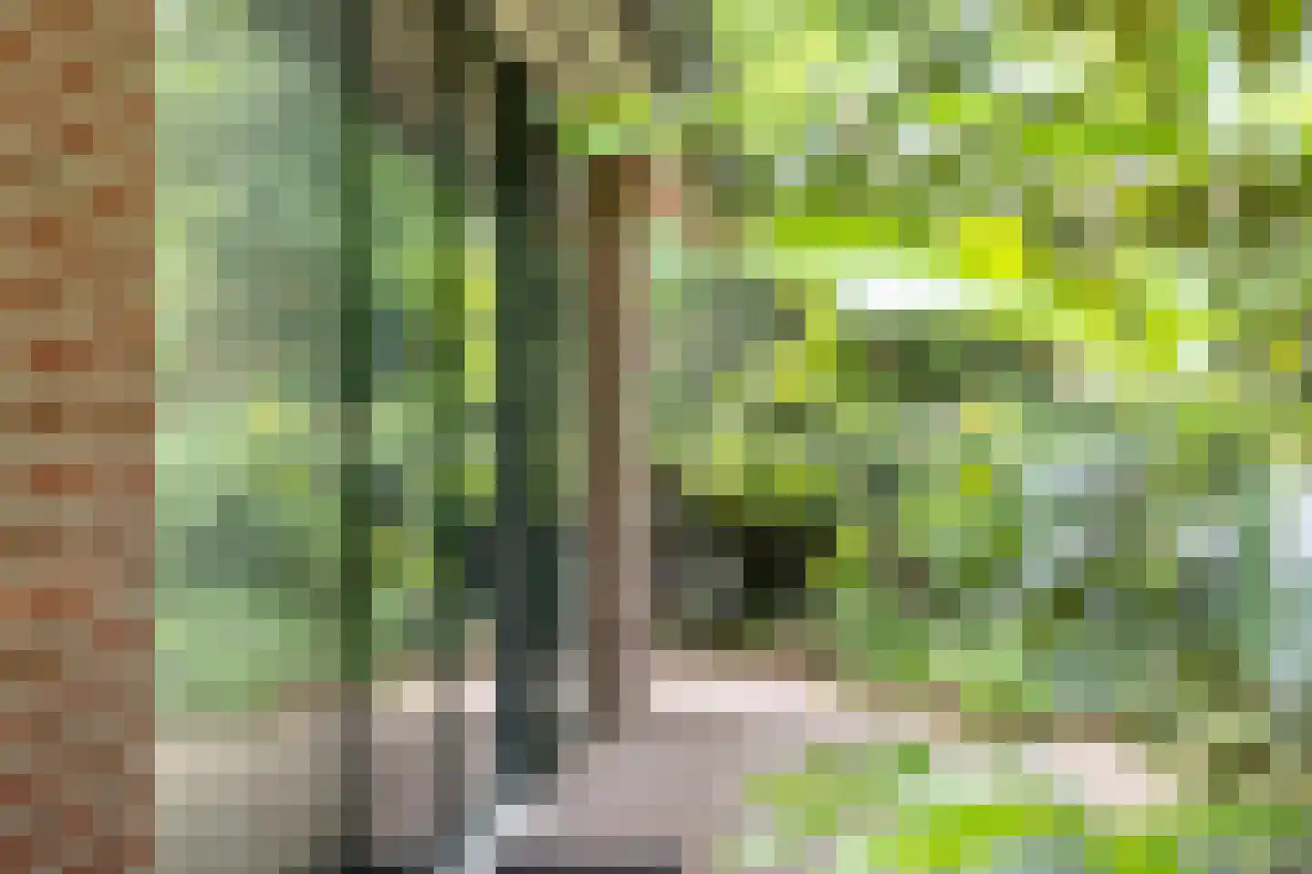 Kattenbergweg 4 a Winterswijk thumbnail 31