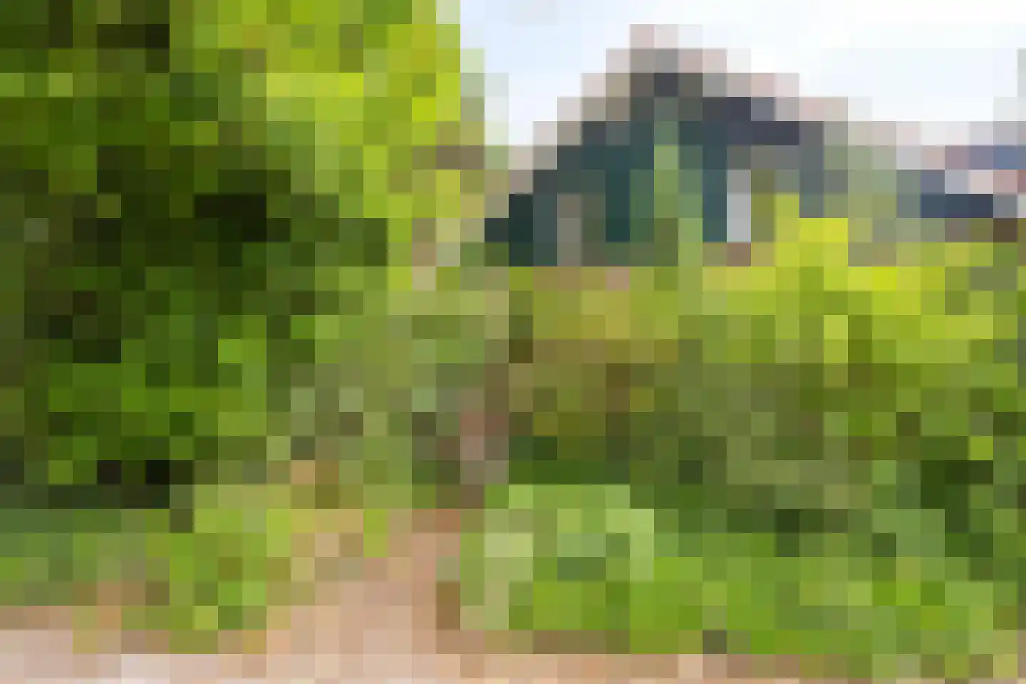 Kattenbergweg 4 a Winterswijk thumbnail 4