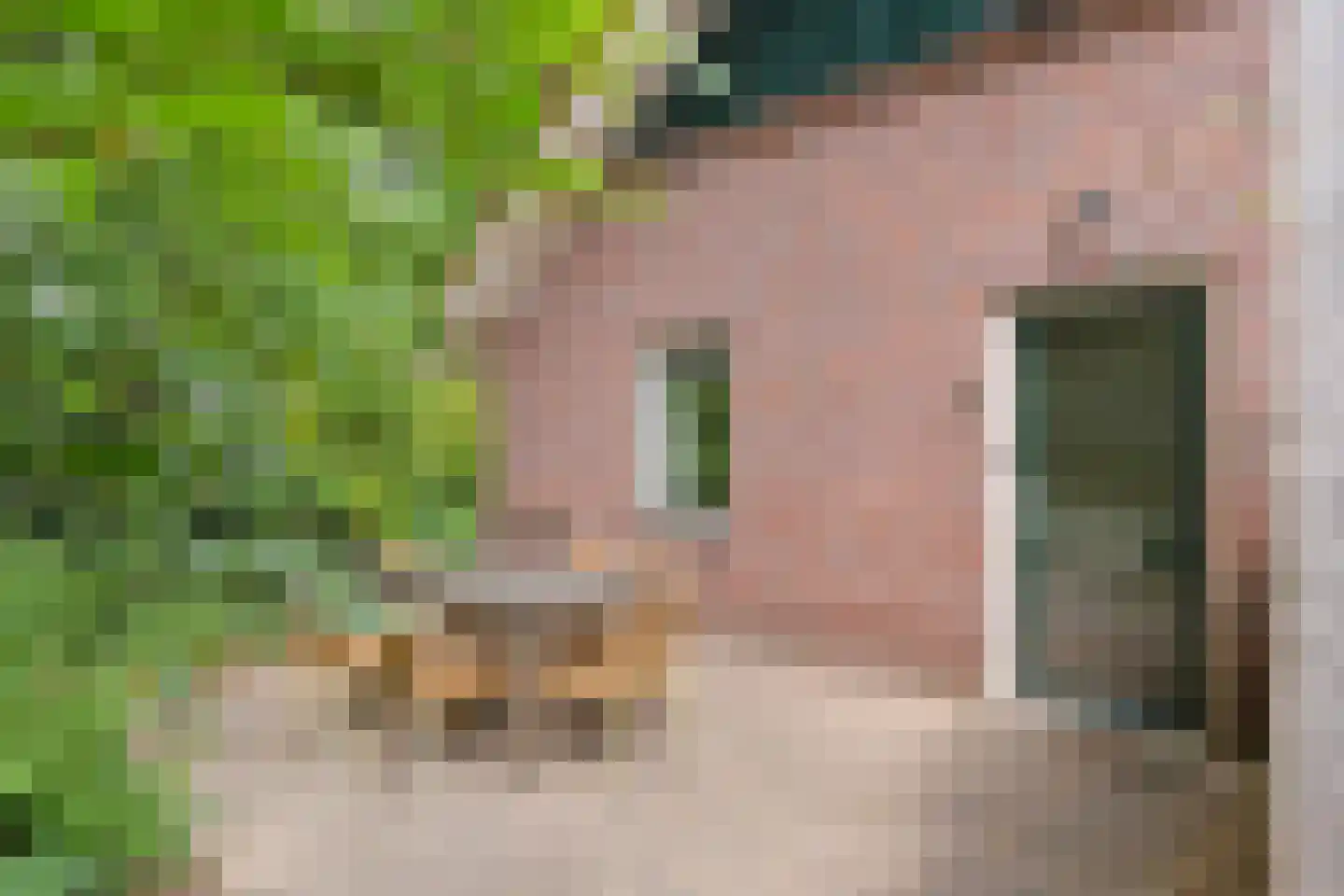 Kattenbergweg 4 c Winterswijk thumbnail 5