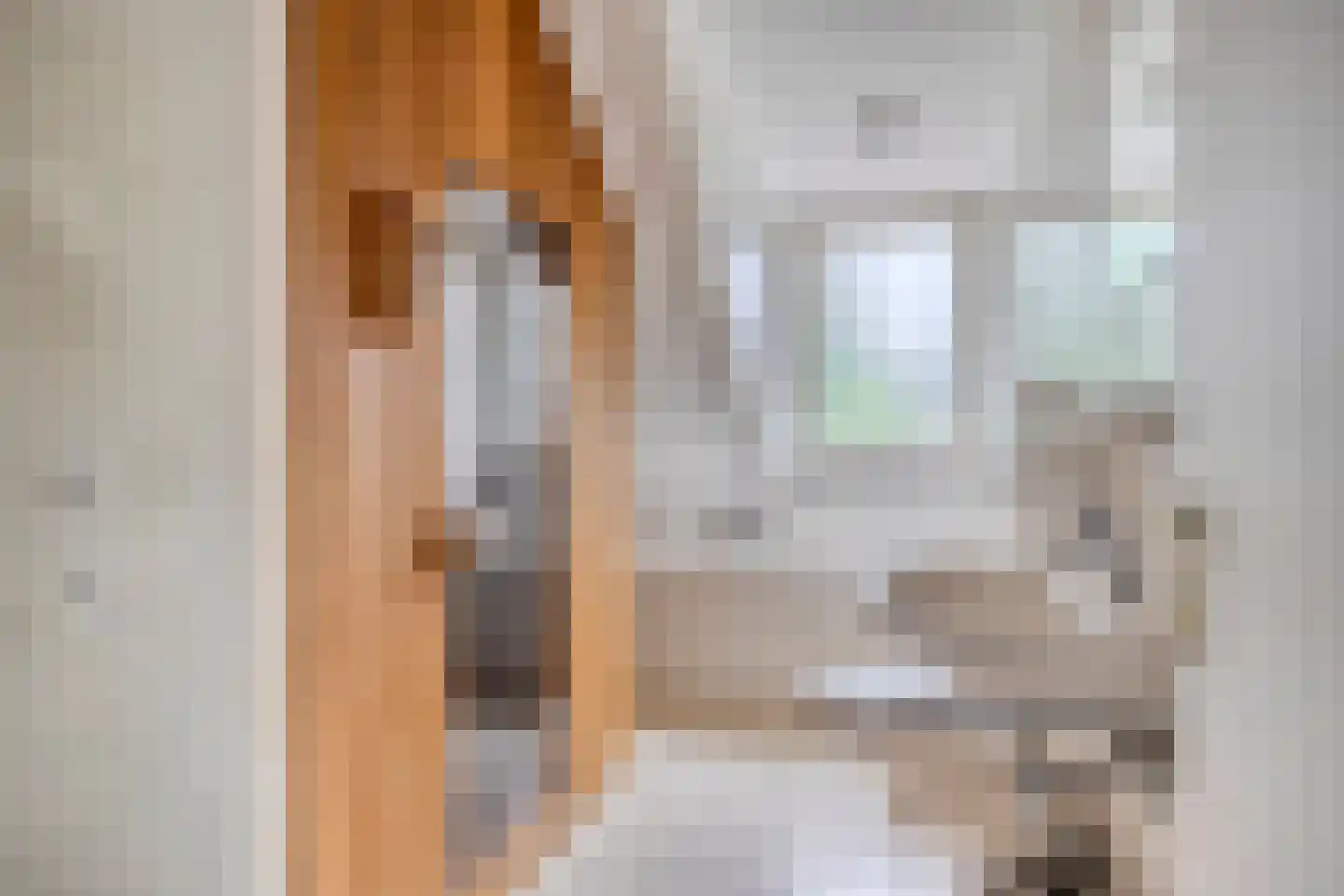 Kattenbergweg 4 d Winterswijk thumbnail 24