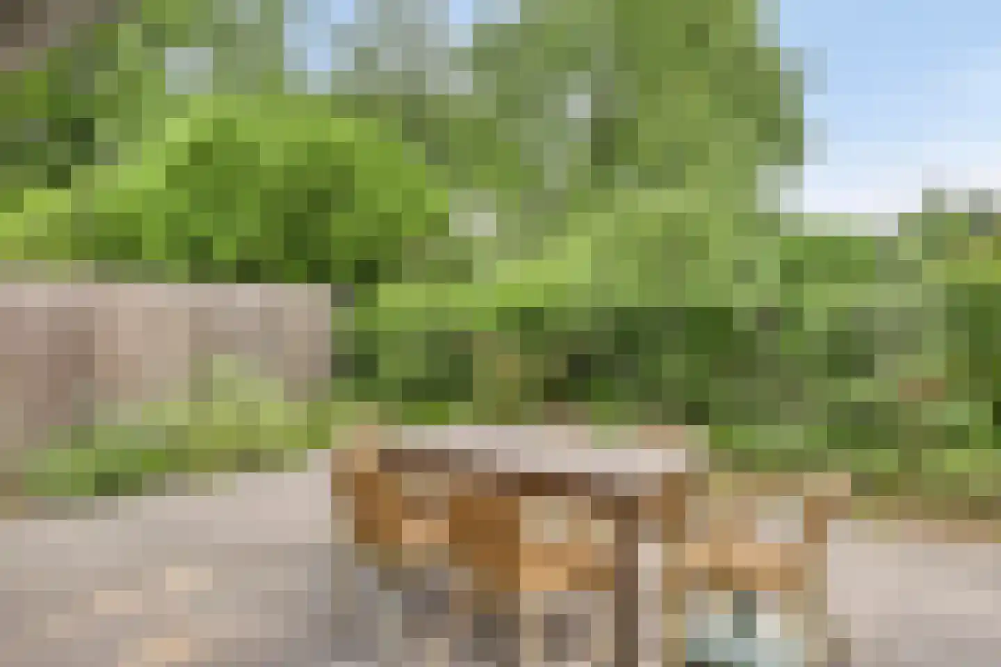 Kattenbergweg 4 d Winterswijk thumbnail 29