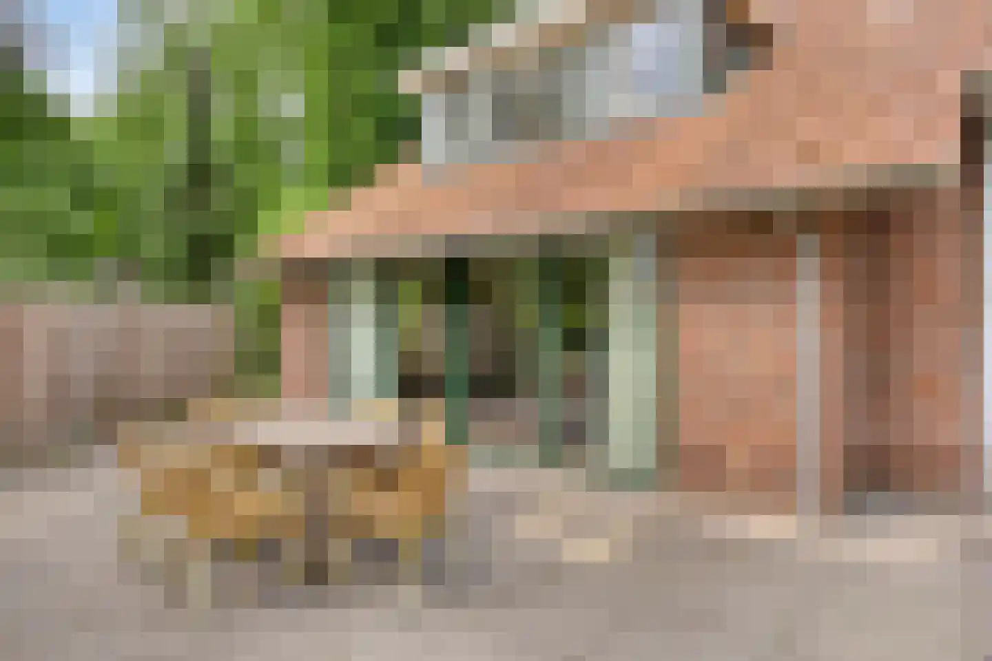 Kattenbergweg 4 d Winterswijk thumbnail 31