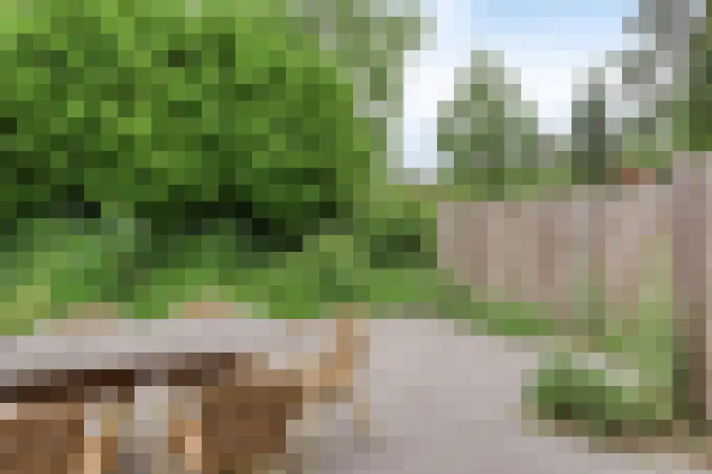 Kattenbergweg 4 Winterswijk thumbnail 31