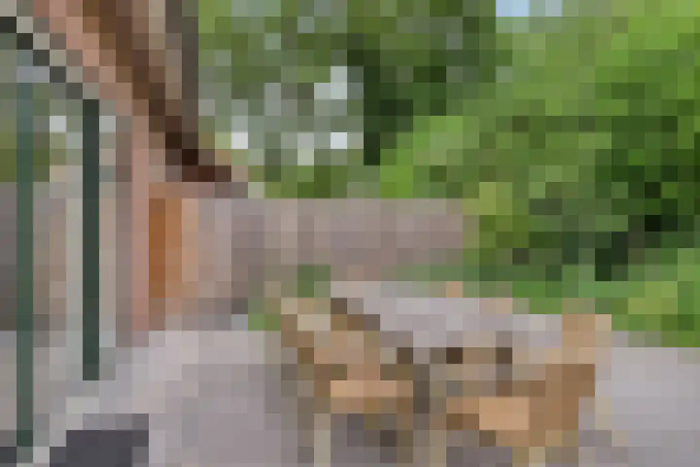 Kattenbergweg 4 Winterswijk thumbnail 32