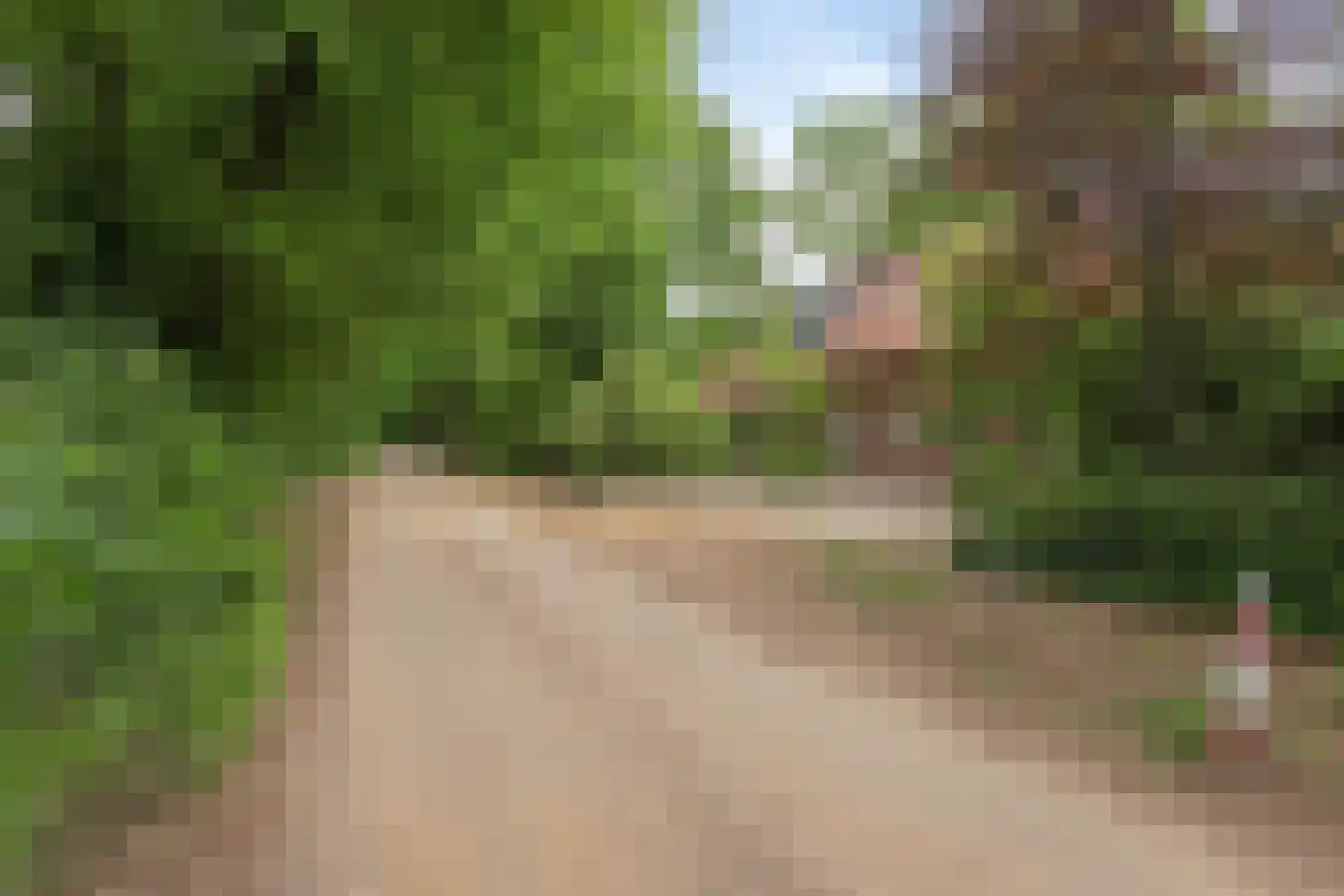 Kattenbergweg 4 Winterswijk thumbnail 4