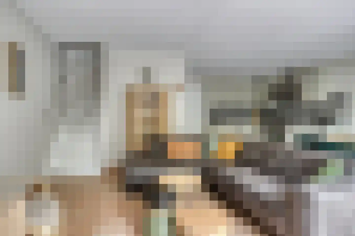 Kattenbergweg 4 Winterswijk thumbnail 9