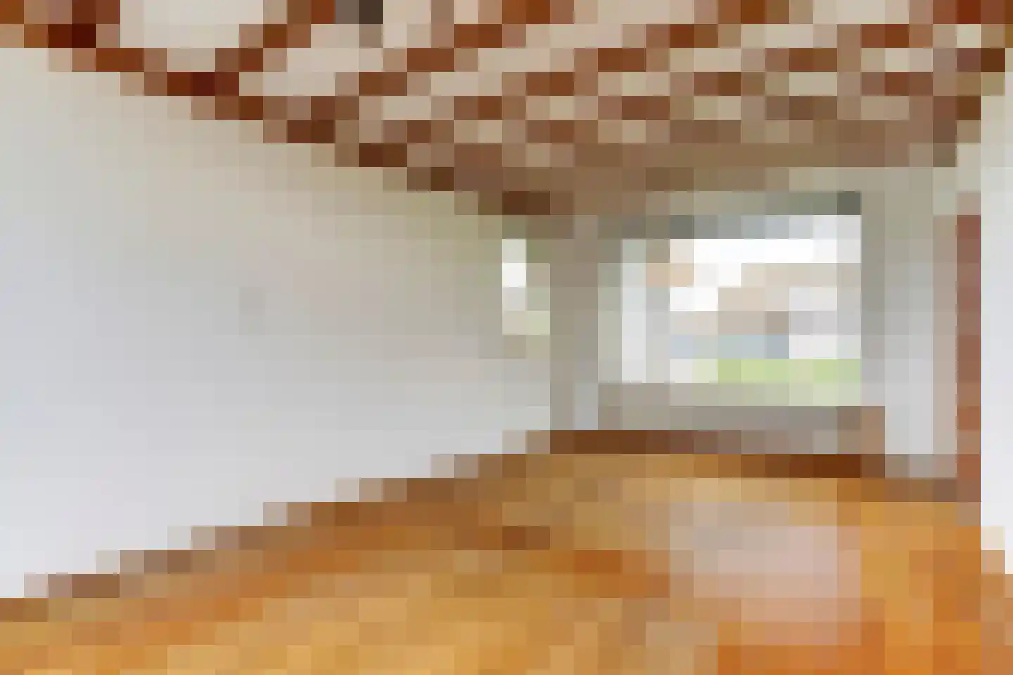 Kattenbos 8 Reusel thumbnail 11