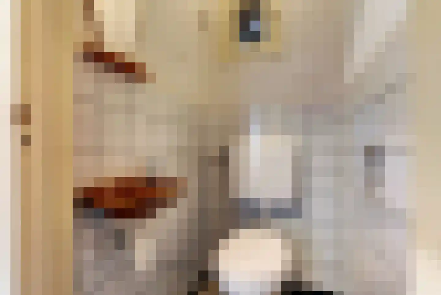 Kattenbos 8 Reusel thumbnail 14