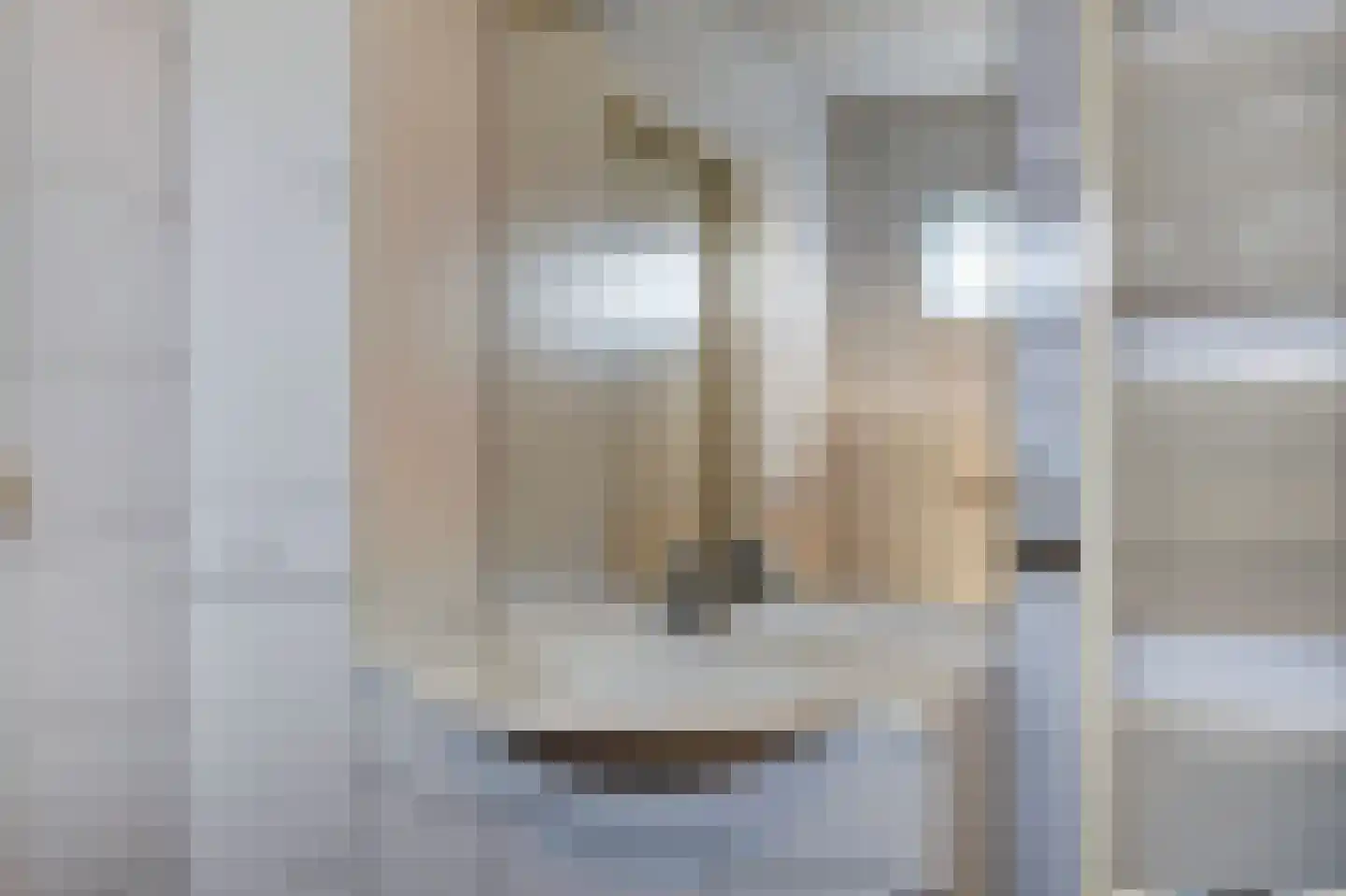 Kattenbos 8 Reusel thumbnail 17