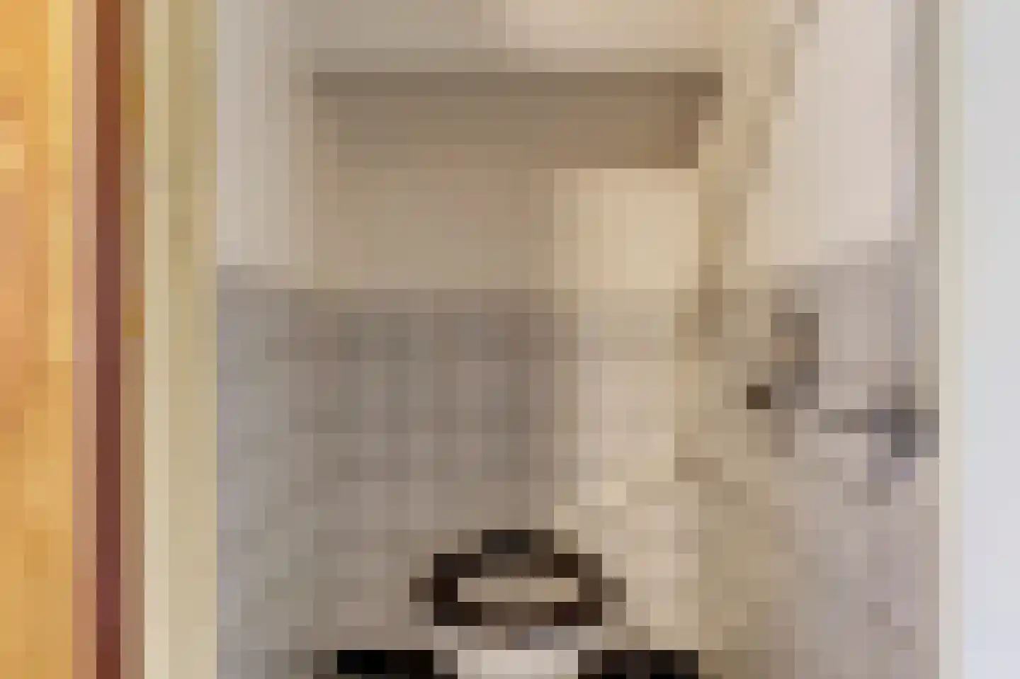 Kattenbos 8 Reusel thumbnail 24