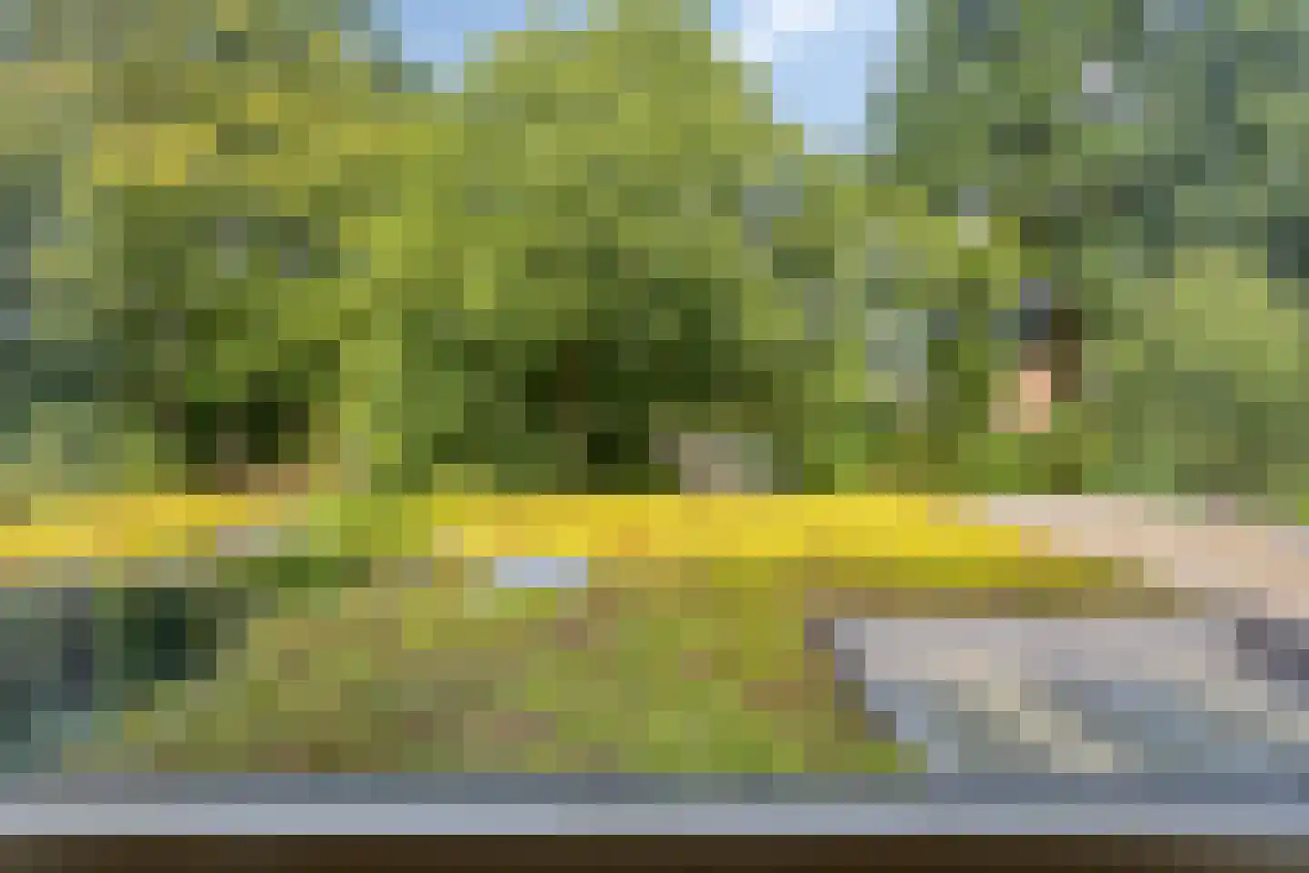 Kattenbosch 103 Rosmalen thumbnail 25