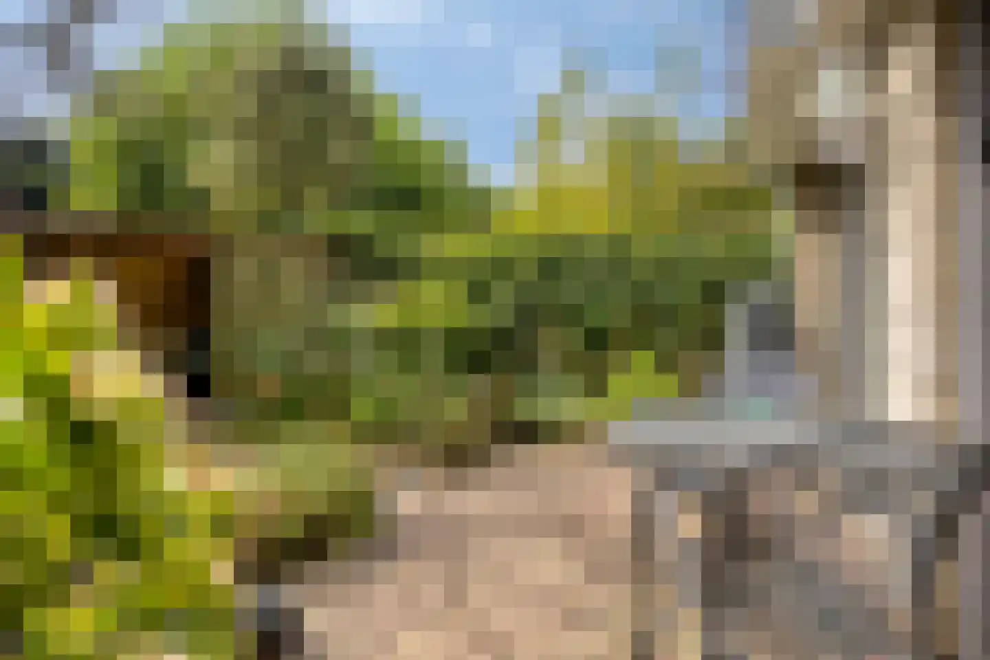 Kattenbosch 103 Rosmalen thumbnail 44