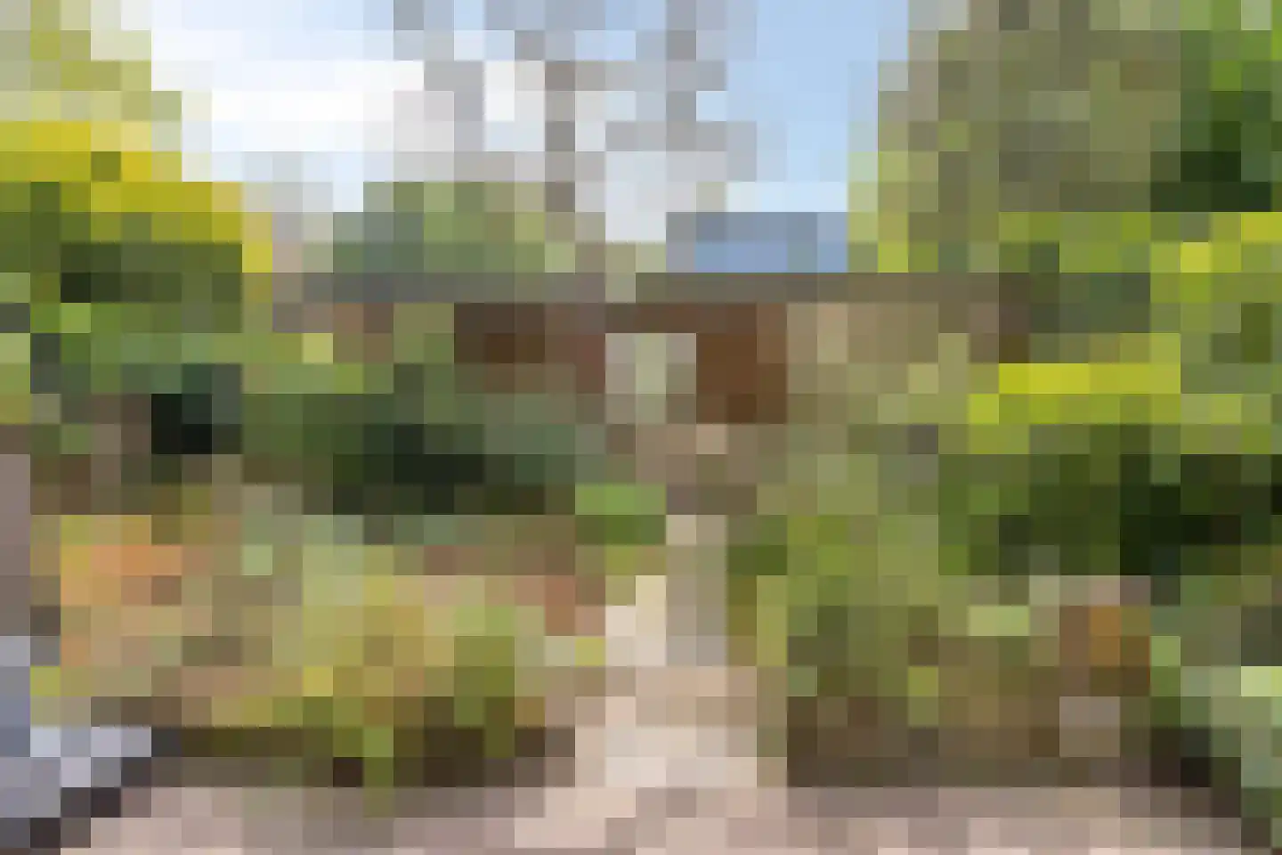 Kattenbosch 103 Rosmalen thumbnail 45