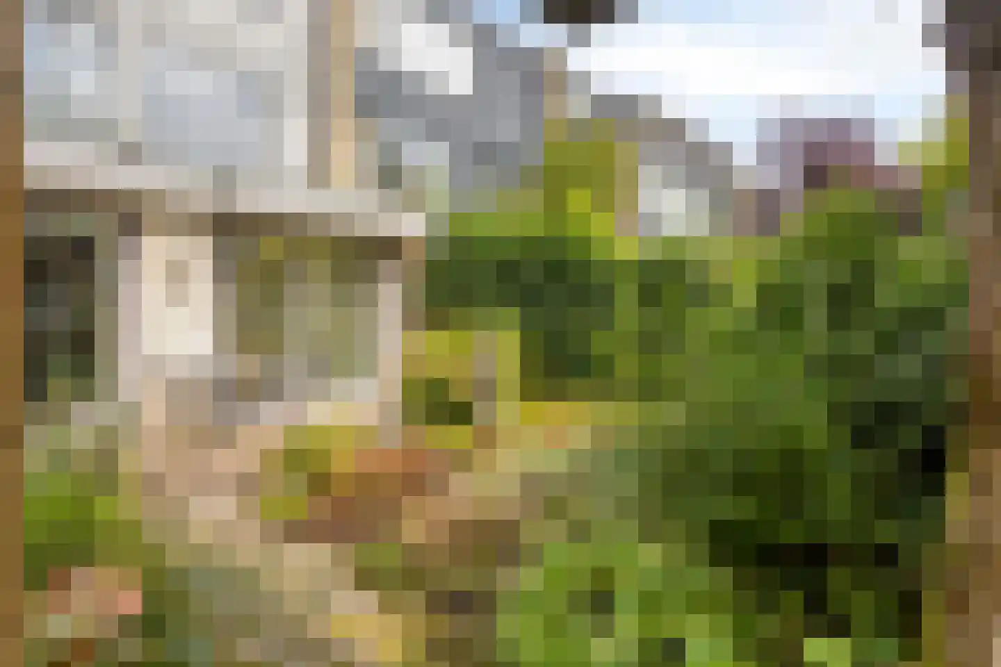 Kattenbosch 103 Rosmalen thumbnail 47