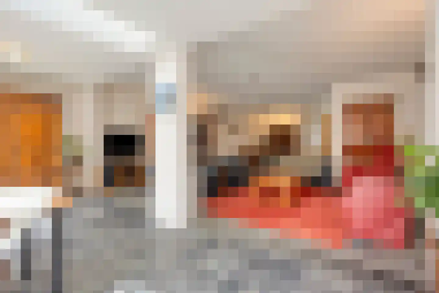 Kattenbosch 103 Rosmalen thumbnail 8