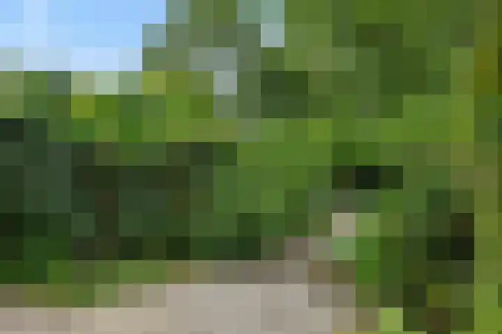 Kattenbosch 22 Rosmalen thumbnail 17