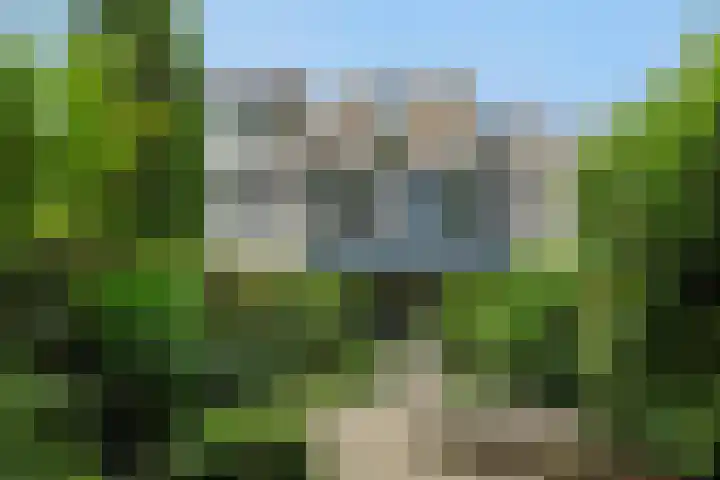Kattenbosch 22 Rosmalen thumbnail 19