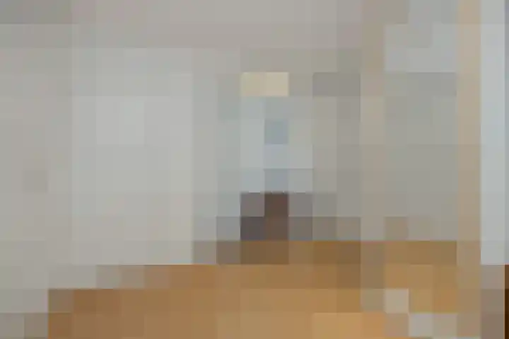 Kattenbosch 22 Rosmalen thumbnail 34