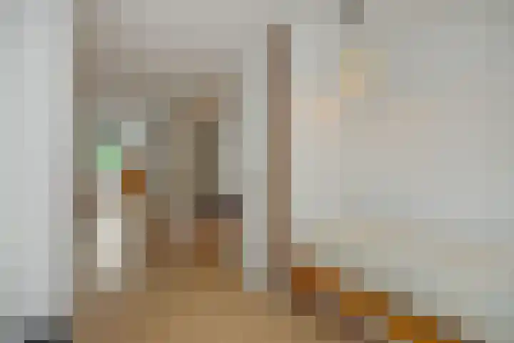 Kattenbosch 22 Rosmalen thumbnail 38