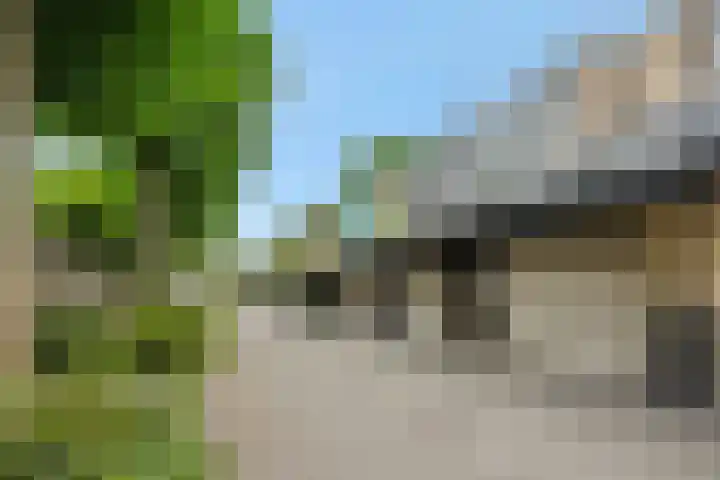 Kattenbosch 22 Rosmalen thumbnail 44
