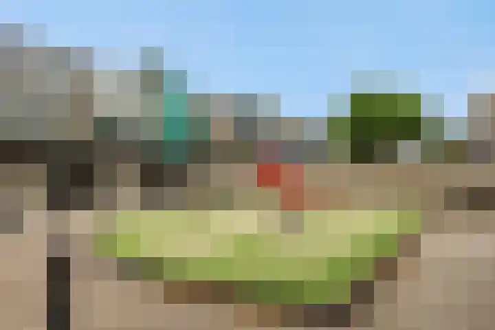Kattenbosch 22 Rosmalen thumbnail 46