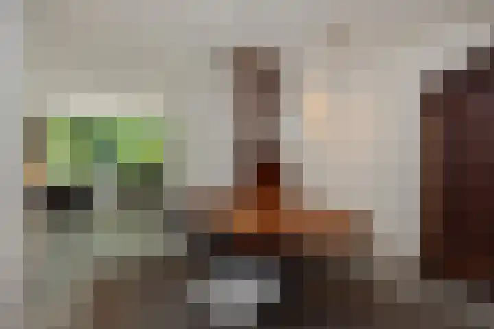 Kattenbosch 22 Rosmalen thumbnail 6